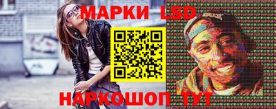 Альфа ПВП Малгобек