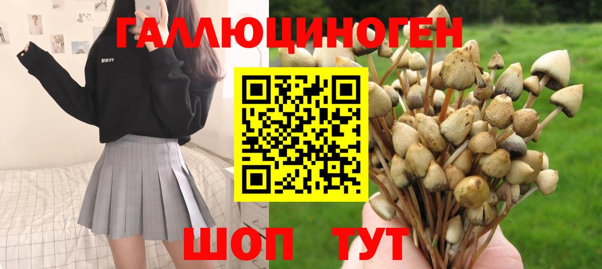 Псилоцибиновые грибы мицелий Шебекино