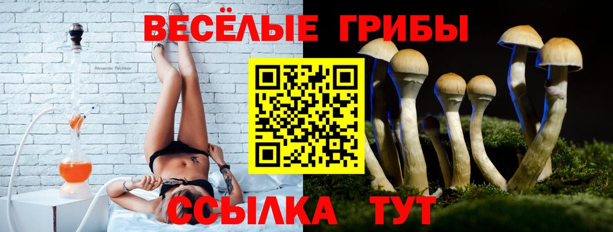 Шебекино  Псилоцибиновые грибы MAGIC MUSHROOMS  Вход с VPN  Псилоцибиновые грибы прущие грибы 